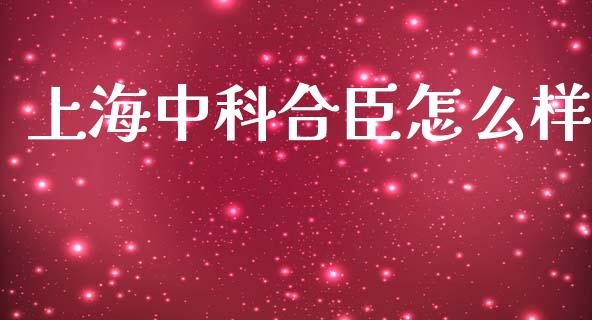 上海中科合臣怎么样_https://wap.fcdydaikuan.com_期货品种_第1张