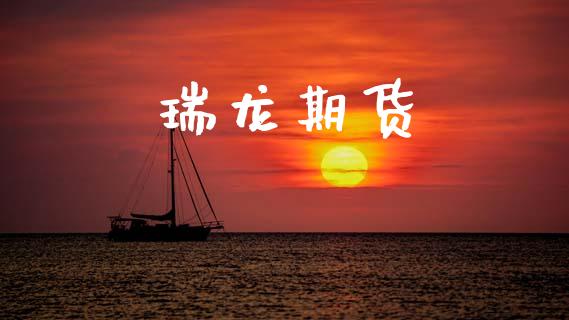 瑞龙期货_https://wap.fcdydaikuan.com_新股数据_第1张