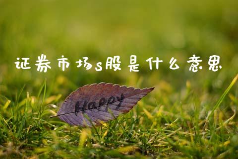 证券市场s股是什么意思_https://wap.fcdydaikuan.com_理财顾问_第1张