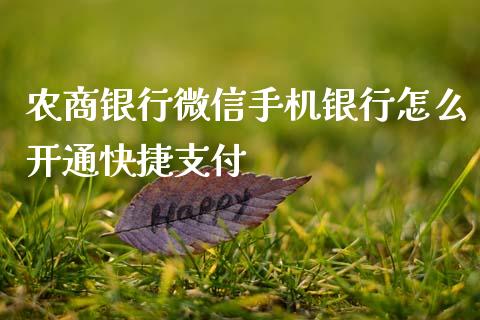 农商银行微信手机银行怎么开通快捷支付_https://wap.fcdydaikuan.com_投资策略_第1张