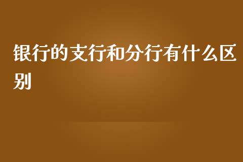 银行的支行和分行有什么区别_https://wap.fcdydaikuan.com_国际投资_第1张