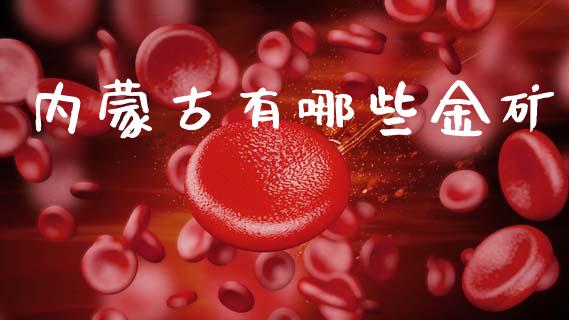 内蒙古有哪些金矿_https://wap.fcdydaikuan.com_理财顾问_第1张
