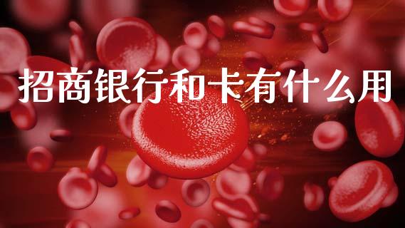 招商银行和卡有什么用_https://wap.fcdydaikuan.com_金融机构_第1张