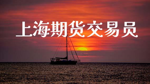 上海期货交易员_https://wap.fcdydaikuan.com_期货品种_第1张