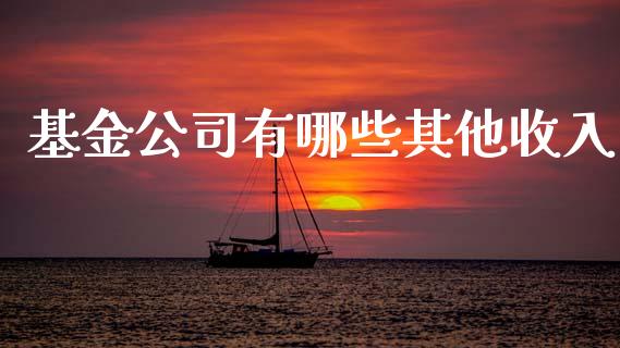基金公司有哪些其他收入_https://wap.fcdydaikuan.com_投资策略_第1张