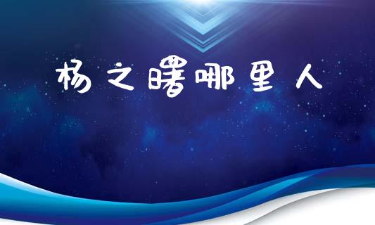 杨之曙哪里人_https://wap.fcdydaikuan.com_国际投资_第1张