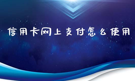 信用卡网上支付怎么使用_https://wap.fcdydaikuan.com_金融机构_第1张