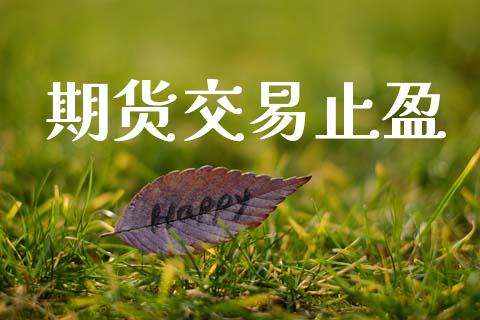 期货交易止盈_https://wap.fcdydaikuan.com_投资策略_第1张
