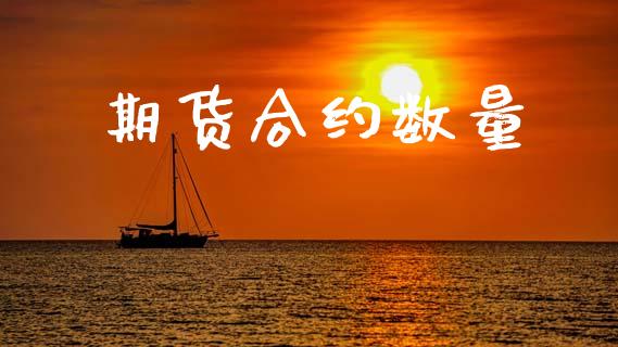 期货合约数量_https://wap.fcdydaikuan.com_投资策略_第1张