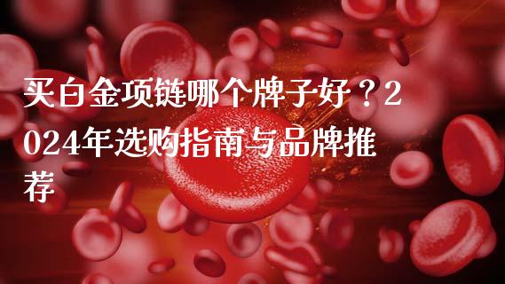 买白金项链哪个牌子好？2024年选购指南与品牌推荐_https://wap.fcdydaikuan.com_理财顾问_第1张