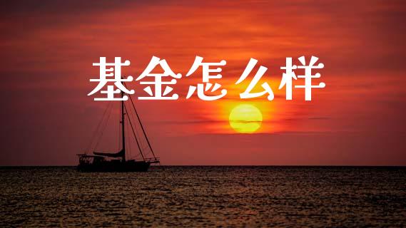 基金怎么样_https://wap.fcdydaikuan.com_理财顾问_第1张