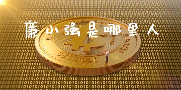 廉小强是哪里人_https://wap.fcdydaikuan.com_新股数据_第1张