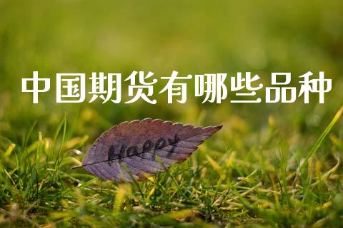 中国期货有哪些品种_https://wap.fcdydaikuan.com_投资策略_第1张