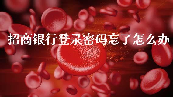 招商银行登录密码忘了怎么办_https://wap.fcdydaikuan.com_理财顾问_第1张