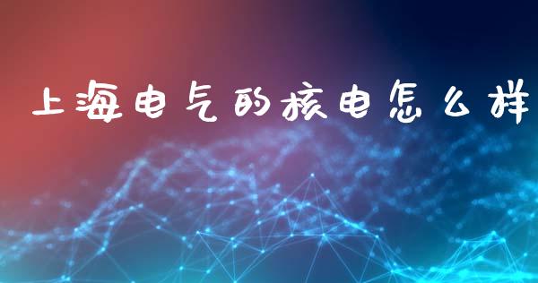 上海电气的核电怎么样_期货品种_第1张_国际投资_理财顾问_投资策略_金融机构 上海电气的核电怎么样_https://wap.fcdydaikuan.com_期货品种_第1张