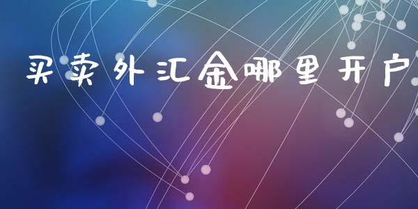 买卖外汇金哪里开户_https://wap.fcdydaikuan.com_国际投资_第1张