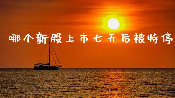 哪个新股上市七天后被特停_https://wap.fcdydaikuan.com_投资策略_第1张