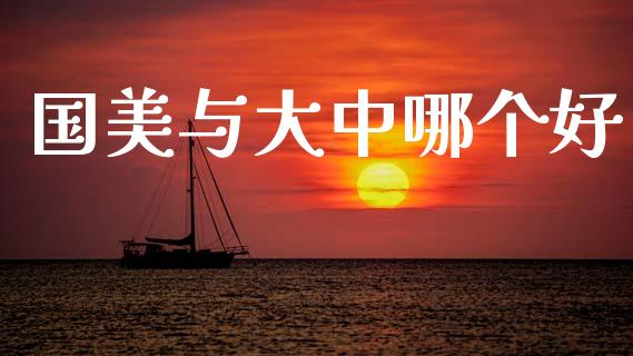 国美与大中哪个好_https://wap.fcdydaikuan.com_投资策略_第1张