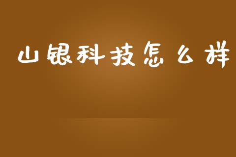 山银科技怎么样_https://wap.fcdydaikuan.com_新股数据_第1张