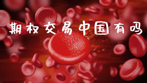 期权交易中国有吗_https://wap.fcdydaikuan.com_期货品种_第1张