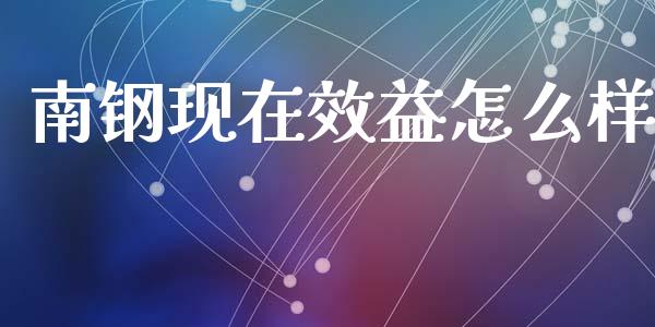南钢现在效益怎么样_https://wap.fcdydaikuan.com_期货品种_第1张
