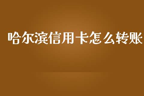 哈尔滨信用卡怎么转账_https://wap.fcdydaikuan.com_投资策略_第1张