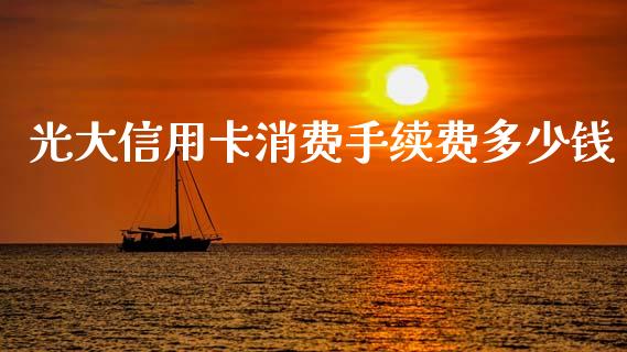 光大信用卡消费手续费多少钱_https://wap.fcdydaikuan.com_期货品种_第1张