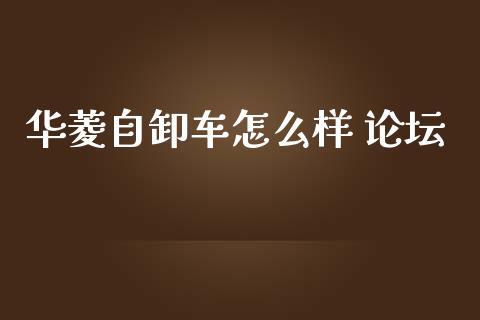 华菱自卸车怎么样 论坛_https://wap.fcdydaikuan.com_国际投资_第1张