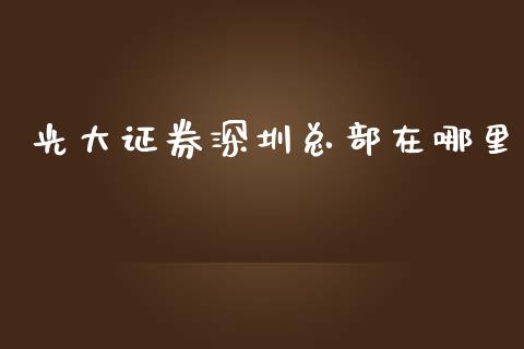 光大证券深圳总部在哪里_https://wap.fcdydaikuan.com_投资策略_第1张