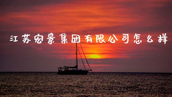 江苏宏景集团有限公司怎么样_https://wap.fcdydaikuan.com_金融机构_第1张