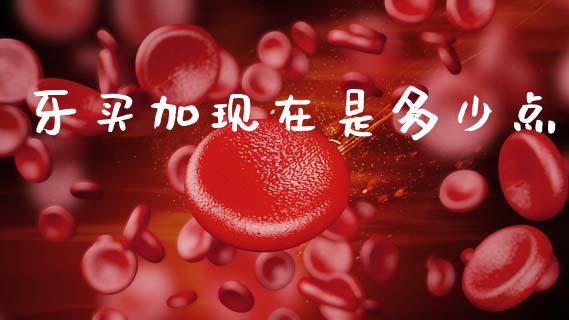 牙买加现在是多少点_https://wap.fcdydaikuan.com_新股数据_第1张