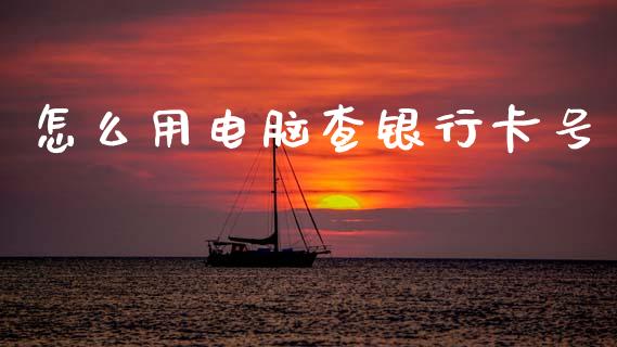 怎么用电脑查银行卡号_https://wap.fcdydaikuan.com_理财顾问_第1张