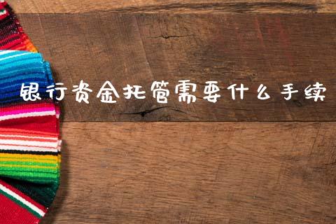 银行资金托管需要什么手续_https://wap.fcdydaikuan.com_理财顾问_第1张