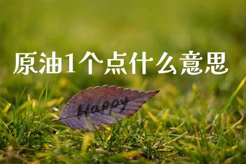 原油1个点什么意思_https://wap.fcdydaikuan.com_投资策略_第1张