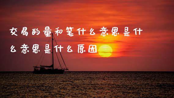 交易的量和笔什么意思是什么意思是什么原因_https://wap.fcdydaikuan.com_国际投资_第1张