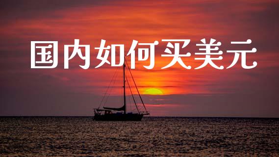 国内如何买美元_https://wap.fcdydaikuan.com_金融机构_第1张