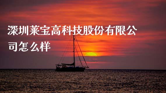深圳莱宝高科技股份有限公司怎么样_https://wap.fcdydaikuan.com_金融机构_第1张