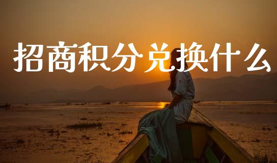 招商积分兑换什么_https://wap.fcdydaikuan.com_新股数据_第1张