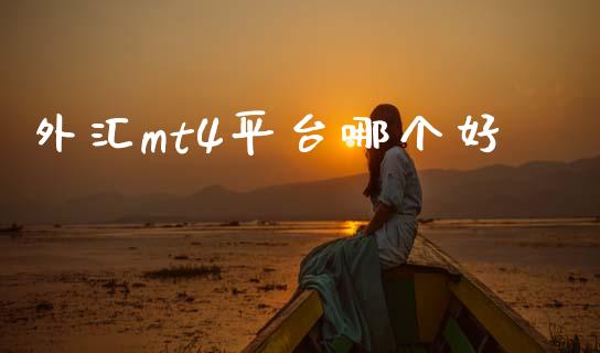 外汇mt4平台哪个好_https://wap.fcdydaikuan.com_国际投资_第1张