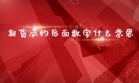 期货合约后面数字什么意思_https://wap.fcdydaikuan.com_理财顾问_第1张