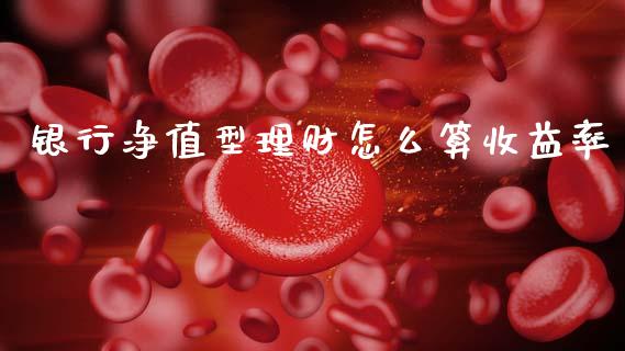 银行净值型理财怎么算收益率_https://wap.fcdydaikuan.com_国际投资_第1张