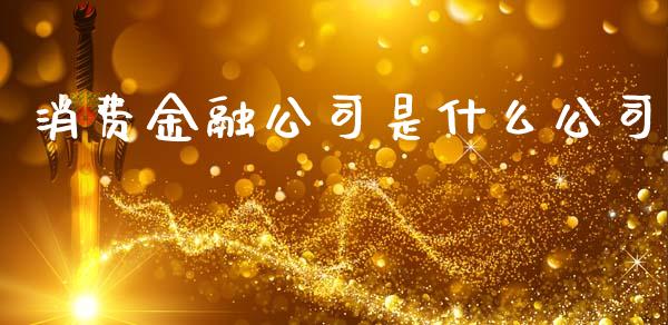 消费金融公司是什么公司_https://wap.fcdydaikuan.com_金融机构_第1张