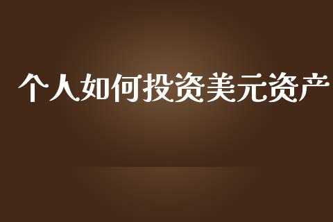 个人如何投资美元资产_https://wap.fcdydaikuan.com_金融机构_第1张