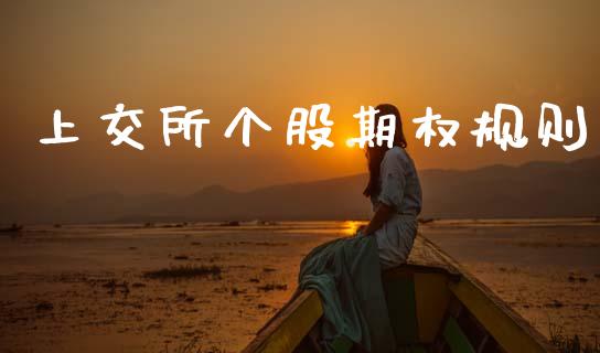 上交所个股期权规则_https://wap.fcdydaikuan.com_期货品种_第1张