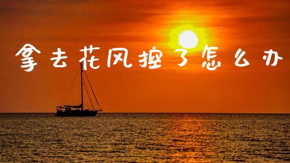 拿去花风控了怎么办_https://wap.fcdydaikuan.com_期货品种_第1张