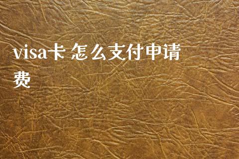 visa卡 怎么支付申请费_https://wap.fcdydaikuan.com_国际投资_第1张