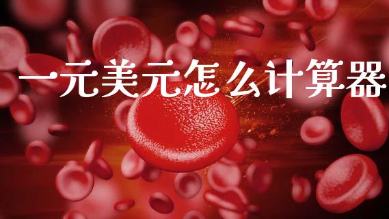 一元美元怎么计算器_https://wap.fcdydaikuan.com_期货品种_第1张
