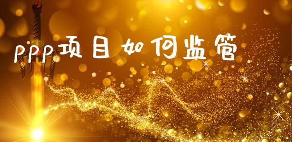 ppp项目如何监管_https://wap.fcdydaikuan.com_国际投资_第1张