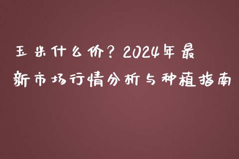 玉米什么价？2024年最新市场行情分析与种植指南_https://wap.fcdydaikuan.com_理财顾问_第1张