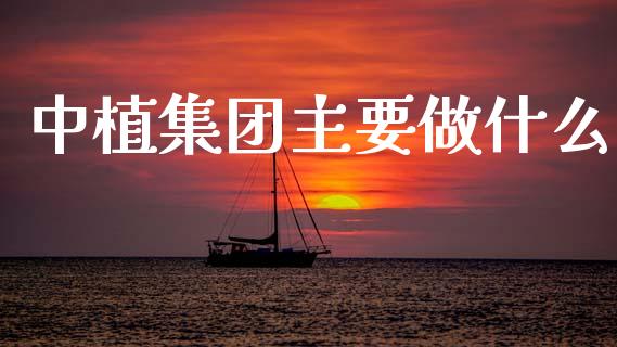 中植集团主要做什么_https://wap.fcdydaikuan.com_期货品种_第1张